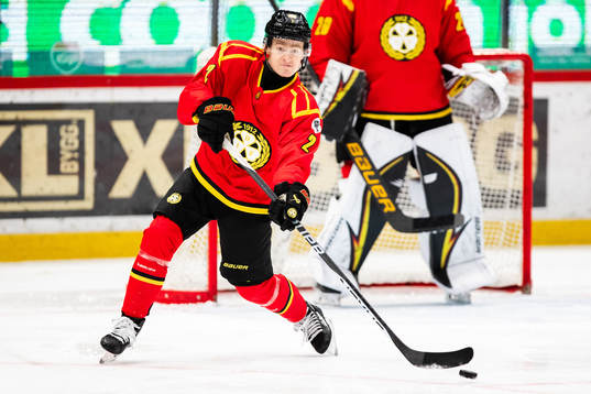Brynäs Anton Johannesson