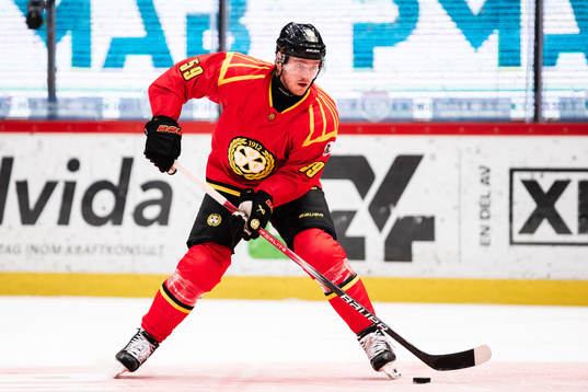 Brynäs Karlis Cukste