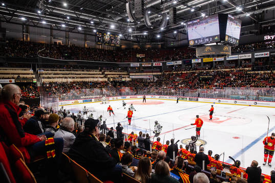 Monitor ERP Arena