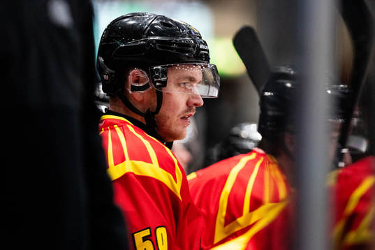 Brynäs Karlis Cukste