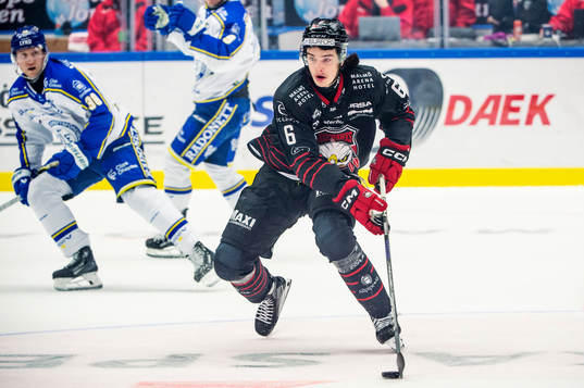 Malmö Redhawks Dominik Badinka
