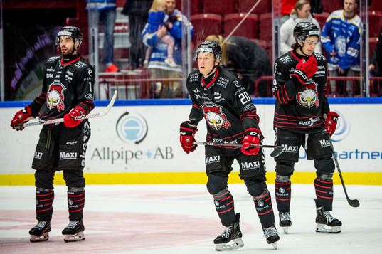 Malmö Redhawks Thomas Berg Paulsen deppar med lagkamraterna