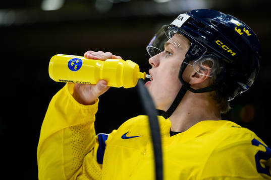 Elias Pettersson of Sweden