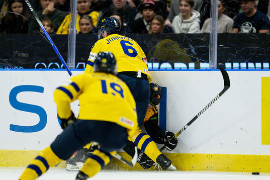 Anton Johansson of Sweden and Eric Hordler of Germany