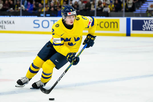 Mattias Hävelid of Sweden