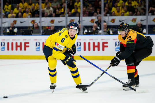 Anton Johansson of Sweden and Eric Hordler of Germany