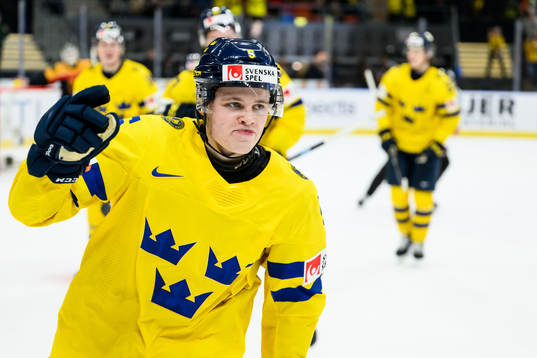 Mattias Hävelid of Sweden celebrates the 0-2 goal