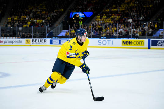 Mattias Hävelid of Sweden