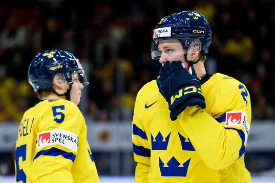 Mattias Hävelid and Elias Pettersson of Sweden
