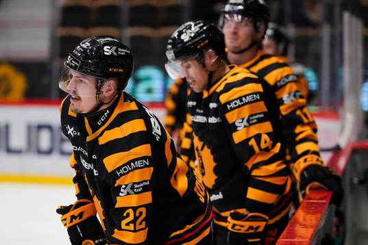 Skellefteås Jonathan Johnson och Andreas Johnson