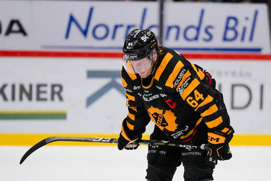 Skellefteås Jonathan Pudas deppar