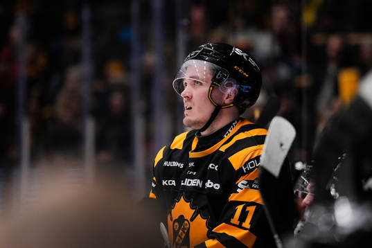 Skellefteås Max Lindholm deppar