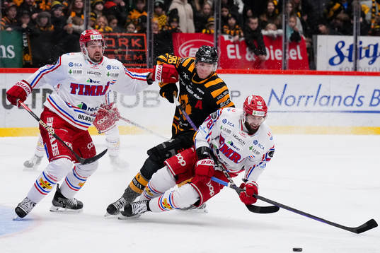 Timrås Tim Erixon och Robin Hanzl