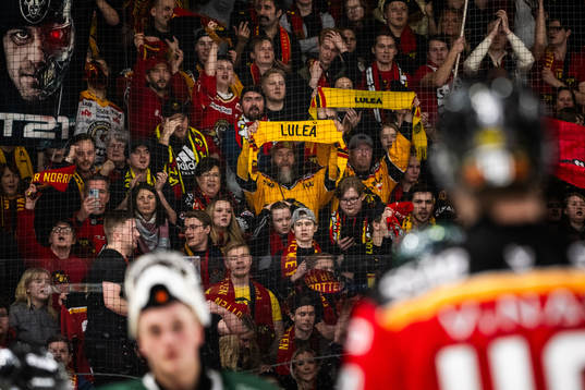 Luleås supportrar jublar