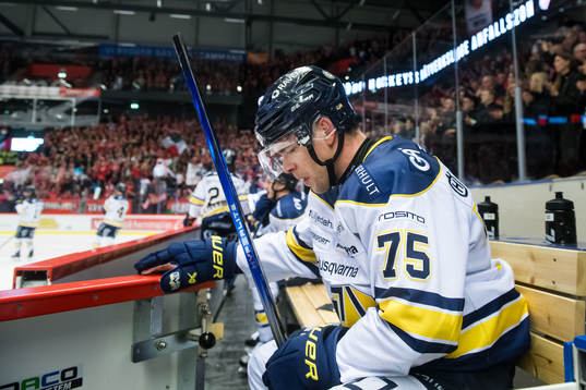 HV71s Radan Lenc deppar