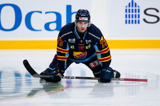 Djurgårdens Anton Gradin