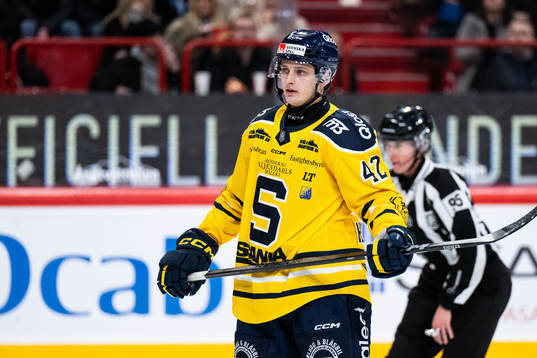Södertäljes Ludvig Hedström deppar
