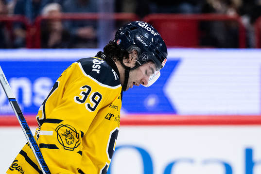 Södertäljes Stelio Mattheos deppar