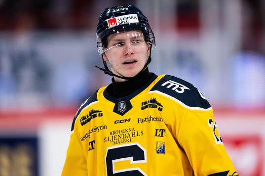 Södertäljes Egor Polin deppar