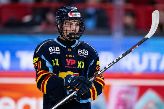 Djurgårdens Linus Eriksson