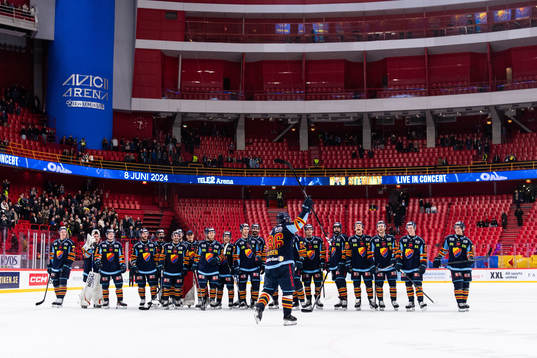 Djurgårdens spelare jublar