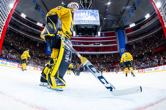 Södertäljes målvakt Tomas Sholl deppar