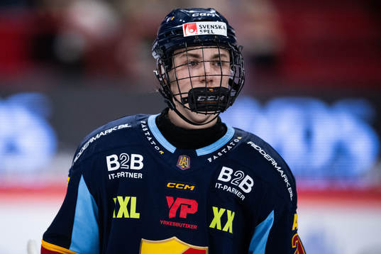 Djurgårdens Linus Eriksson