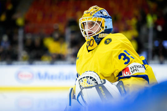 Goaltender Hugo Hävelid of Sweden