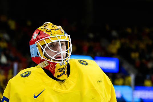 Goaltender Hugo Hävelid of Sweden