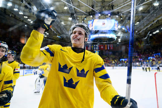 Anton Johansson of Sweden celebrates