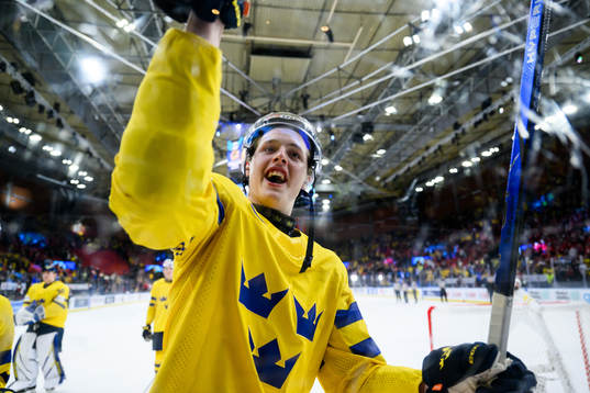 Anton Johansson of Sweden celebrates