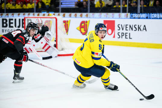 Mattias Hävelid of Sweden