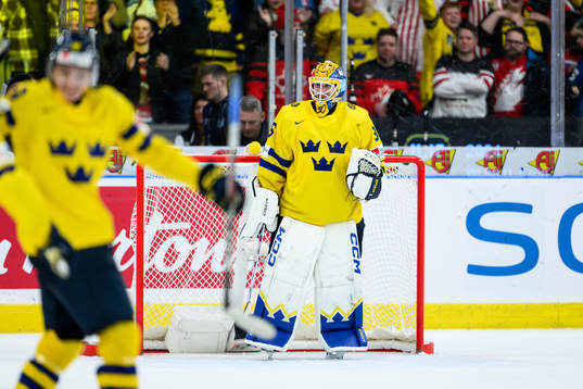 goaltender Hugo Hävelid of Sweden celebrates