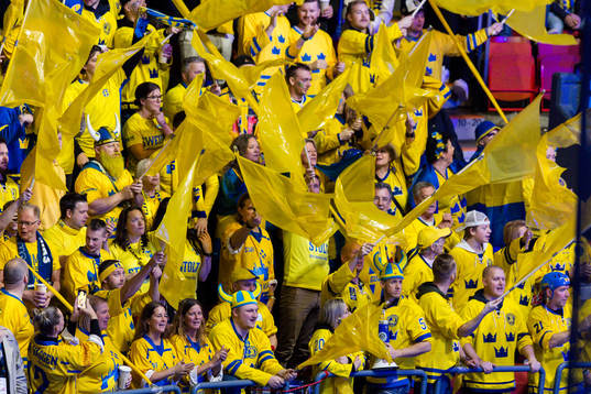 during the 2024 IIHF World Junior Championship game between