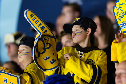 A Swedish fan in the stands