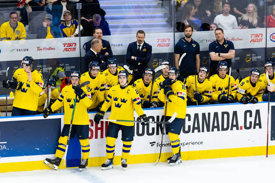 Players of Sweden