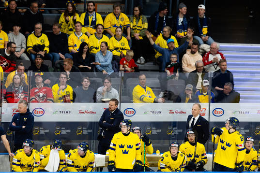 Players and staff of Sweden