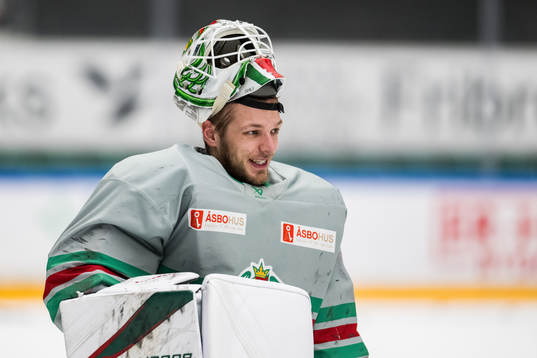 målvakt Petr Kvaca