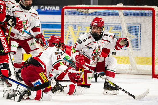 Modos Wilma Sundin