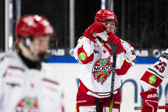 Modos Lina Ljungblom deppar