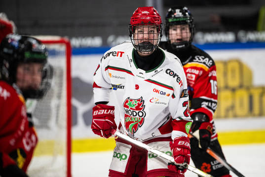 Modos Ebba Hedqvist