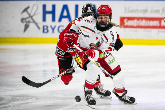 Modos Ebba Hedqvist