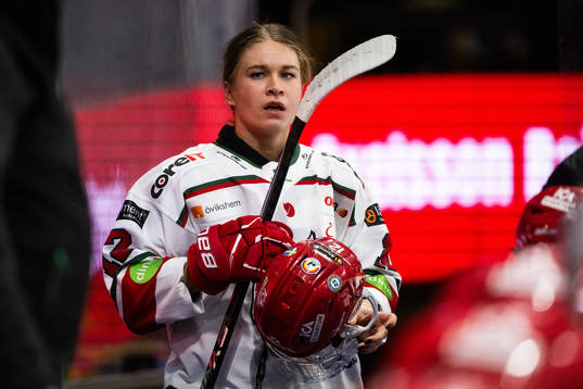 Modos Ebba Berglund