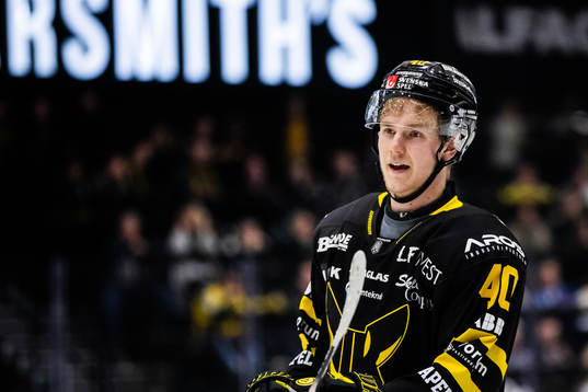 Västerås Isak Skedung