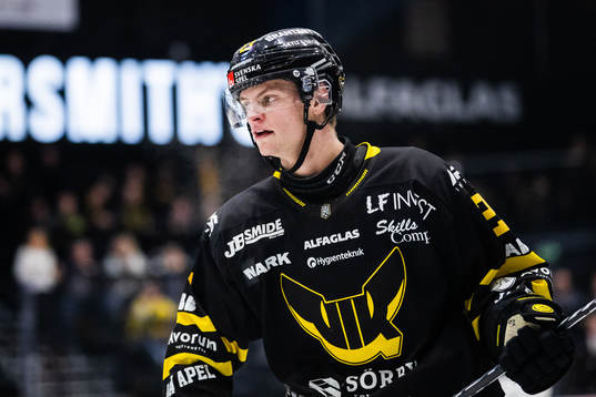 Västerås Adam Hofbauer