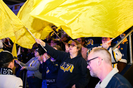 HV71s tifo