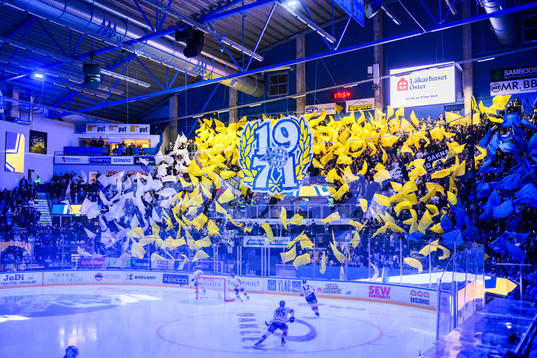 HV71s tifo