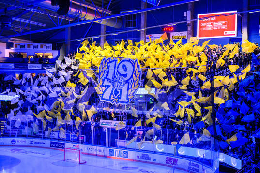 HV71s tifo