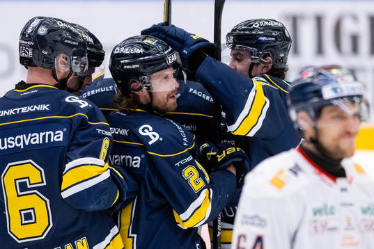 HV71s Mattias Tedenby jublar