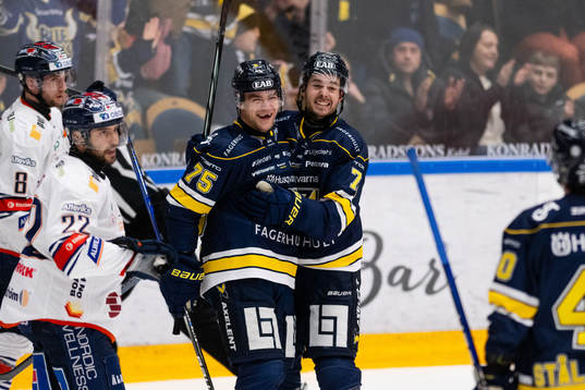 HV71s Radan Lenc jublar